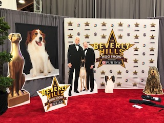 You are currently viewing 2019 Kennel Club of Beverly Hills Dog Show on NBC